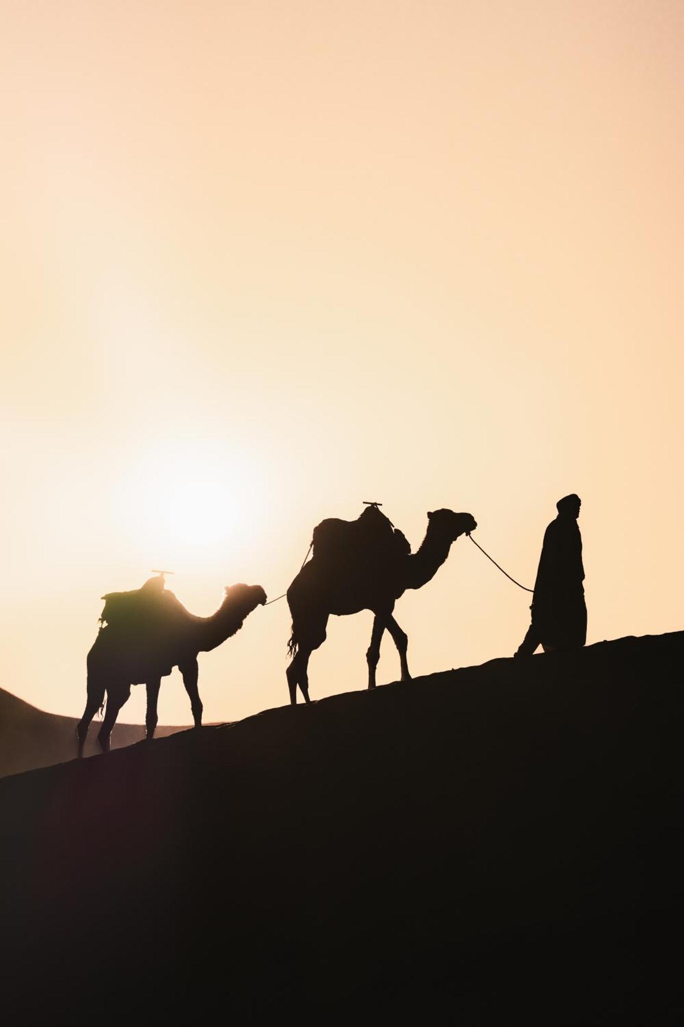 Royal Luxury Camp Otel Merzouga Dış mekan fotoğraf